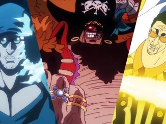 Logia Type Devil Fruits and it's user